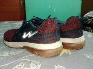 Campus Sports Shoes