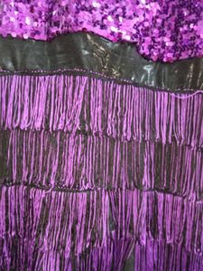 Sparkling Purple Sequin Fringe Dress