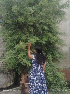 gown kurti