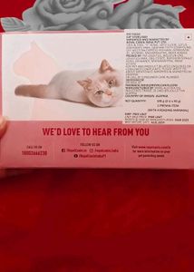 Cats Food