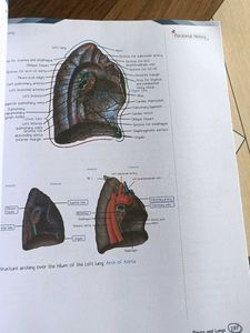 PW MED ED anatomy notes of Dr. Pradeep Pawar