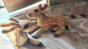 Cute Spotted Deer Plush Toys Set