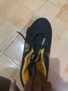 Black &amp; Yellow Casual Sneakers