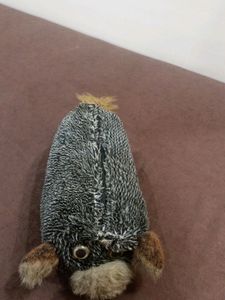 Dog Bag