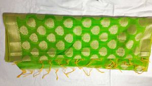Vibrant Green  banarasi Dupatta
