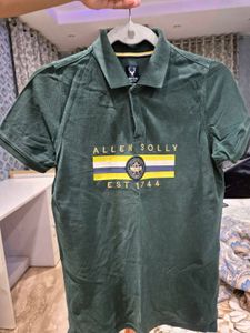 Allen Solly Green Polo T-Shirt