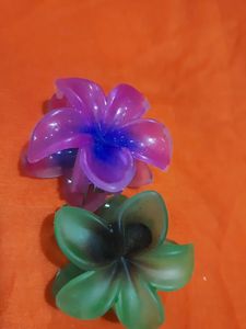 Beautiful Set of 2 Hair Clutchers