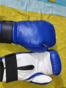 Boxing gloves, used 2 times , original gloves