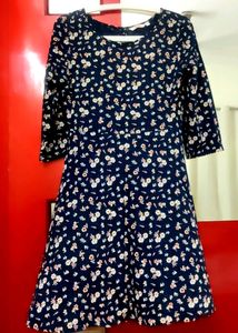Blue Flared Dress
