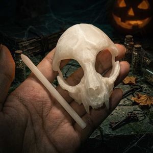 Unique Glow in the dark Skull Hair Pin
