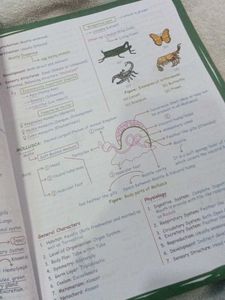 Zoology Med Easy 2.0 - NEET &amp; Board Exams