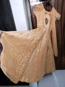 Elegant Ethnic Gown