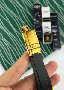 Rolex tiger rainbow edition