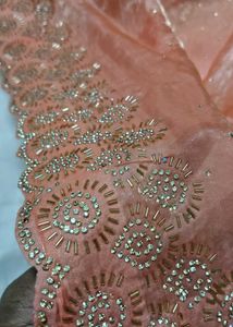 Elegant Peach Saree with Embellished Border