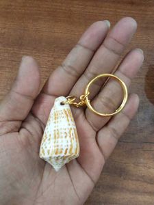 Seashell Collection &amp; Keychain
