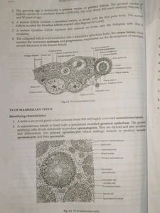 Biology Lab Manual For Class 12