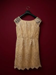 Elegant Lace Dress