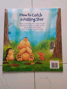 How to Catch a Falling Star Book