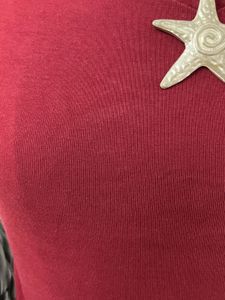 Maroon Fitted Cropped Top