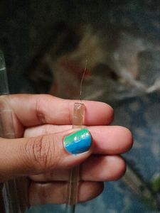 Lab Set -Holder And Platinum Rod