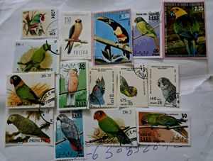 Collection of Bird theme stamps