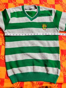 Green &amp; Grey Striped V-Neck Sweater