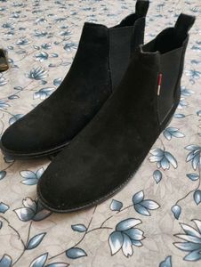 shoe
