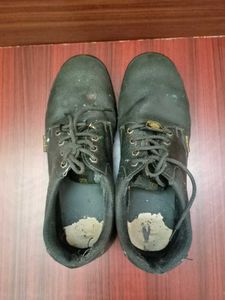 Warrior industrial safety shoes
