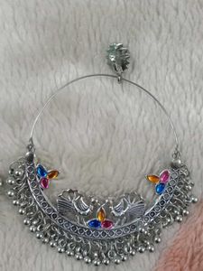 Beautiful Peacock 🦚 Hoop Earrings