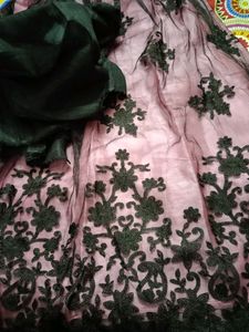 New Lehnga Choli