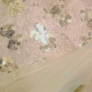 Elegant Sequined Pakistani Dress