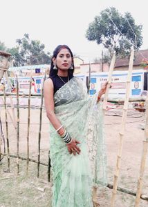 Beautiful Net Saree