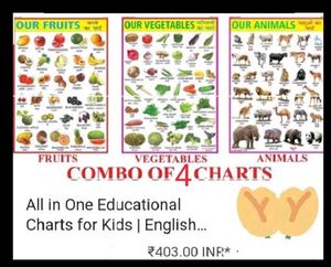 Combo Of 4 Hindi Varnmala Etc, Learning Chart