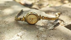 Citizen Gold-Tone Ladies Watch