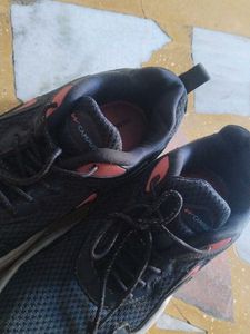 Campus Sports Shoes