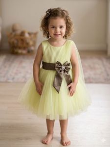 Elegant Tulle Dress