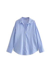 Blue Striped Button-Down Shirt
