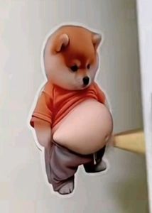Funny Belly Puppy Showp(270 for 2 sticker)