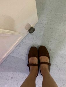 Chic Brown Ballerina Flats