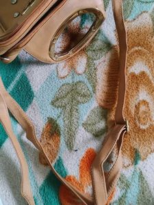 Beige Handbag