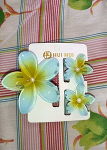 2-Flower Hair Clip Set