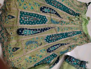 Elegant Lehenga Choli