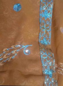 Saree Nd Blouse