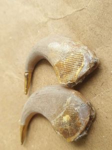 original sher k nail with gold dip 100%pure