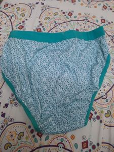 Premium Brief (Set of 3 Different Colour
