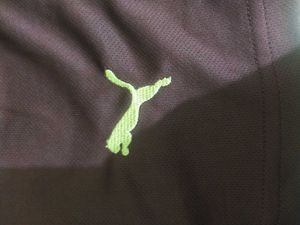 Puma Manchester City FC Shorts