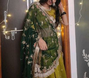 Beautiful Lehenga Choli Set