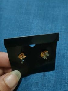 Elegant Stud Earrings