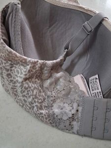 36DD animal print bra