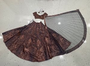 Sparkling Sequin Lehenga Choli Set